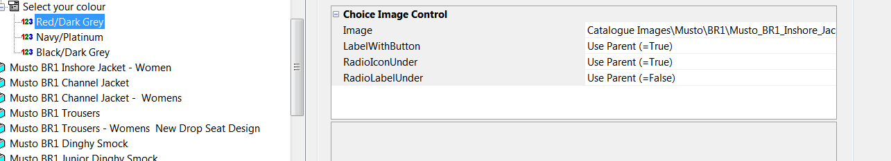 Choice Image control.PNG